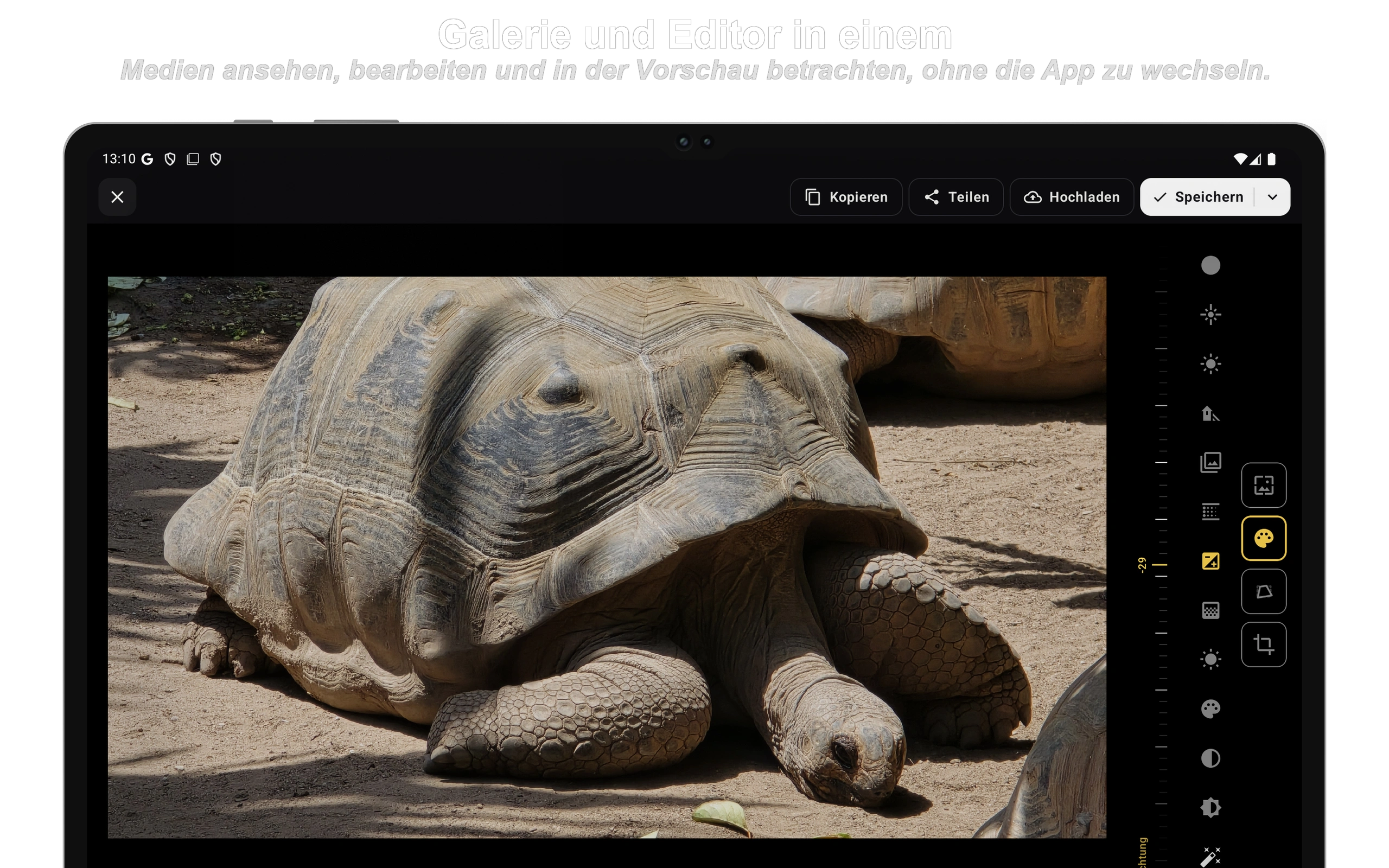 Sync-Regeln festlegen und Dateien einmalig senden
