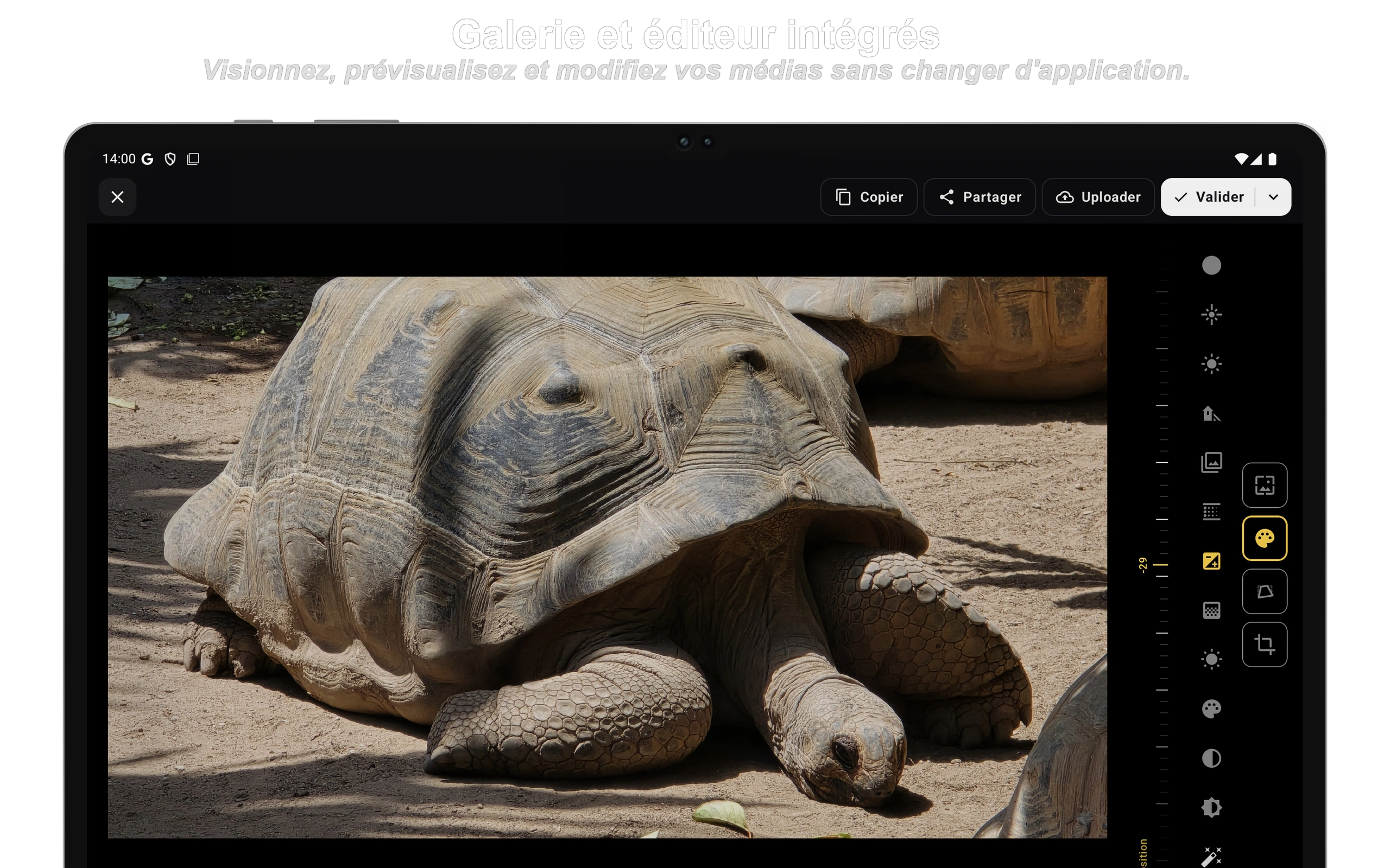 Règles de synchronisation auto et envoi de fichiers unique